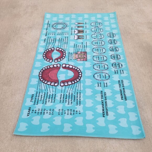 Orthodontist Chart Area Rug Dentist Mat - Picture 6 of 13